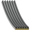FEBI BILSTEIN Cinghia Poly-V FEBI BILSTEIN 184944