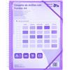 Raylu Paper® - Cartella classificatrice con anelli trasparenti A4 da 90 micron e busta con chiusura adesiva, coperchio personalizzabile. Cartella di buste 100% biodegradabile (20 custodie, viola)