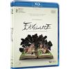 Universal Favolacce (Blu-ray) Elio Germano Tommaso Di Cola Giulietta Rebeggiani