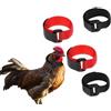 LATRAT 4 Collari Gallo No-Crow per Polli, Collari Regolabili in Nylon, Nero e Rosso, per Piccole Razze, 20 cm x 2 cm