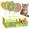 Glaublieb 21pc Snack Liofilizzati all'Erba Gatta Lollipop, Controllo delle Palle di Pelo e un Mantello Sano, Snack per Gatti Liofilizzati con Aroma di Erba Gatta, Mirtillo Rosso, Tuorlo d'uovo