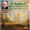 Franz Schubert Schubert: Piano Sonatas 13, 14/Impromptus (D 899) Nos. 2, 4 (CD)