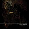 Deva Noctua Entropia Be Sinking in Marshland (CD) Album