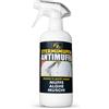 Cartongesso fai da te STERMINA MUFFA Antimuffa Professionale Pronto all'Uso 1 Litro