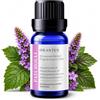 Orantus Olio Essenziale Patchouli ORANTUS 10ml Puro Naturale per Diffusore