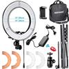 NEEWER RL-12 LED Ring Light 14 esterno/12 al centro con supporto per luce, filtro colorato, supporto per telefono per trucco, YouTube, TikTok, riprese video con fotocamera/telefono