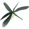CYRENT Foglie di orchidee artificiali a forma di farfalla, in finta seta/plastica PU, per decorare la casa, matrimoni, feste, fai da te, 1 pezzo