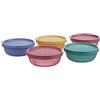 Tupperware Tupin Tupperware Buddy - Set di 5 ciotole da 300 ml (colore variabile)