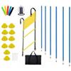 Ronyme Scaletta Agility Allenamento Set Scaletta Coni Picchetti Materiale PP E Nylon per Migliorare Rapidità dei Piedi Movimenti Laterali E Coordinazione, 绕杆款套装组合006T