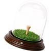 WNXGNHO Vetrina per Palline da Golf Realizzata in Legno e Acrilico per la Decorazione della casa o del Posto Lavoro Scatola Tradizionale per Palline da Golf