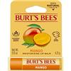 Burt's Bees Mango idratante Lip Balm Blister - 4,3 g balsamo per le labbra