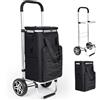 YEAUPE PRO Carrello Spesa 3 in 1 con Compartimento Isotermico - Capacità 50L, Carico 25kg - Ruote Silenziose, Impermeabile, Facile da Montare e Trasportare - Nero Grafite