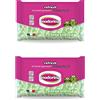 Inodorina Salviette PET100106 Clorhexidina, 2 Confezioni da 40 salviette…