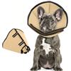 PUZAUKAL Collare Elisabettiano Cane Morbido, Collari Protettivi Per Cani | Collare Elisabettiano Antileccamento per Cani e Gatti, Bulldog Francese, Post-operatorio, Taglie Grande Piccola, Cachi S