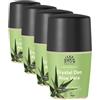 Urtekram Crema Crystal Deo Aloe Vera - 50 ml - Deodorante Naturale con Sale Minerale, Profumo Fresco d'Arancia, Senza Alcol, Cosmetico Naturale Certificato, Vegan e Senza Alluminio (Confezione da 4)