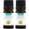 La Compagnie des Sens YLANG YLANG III (Cananga odorata) BIO - 5mL - Olio Essenziale di Qualità Premium - 100% Puro, Naturale, Garantito ChromaCert® - Chemiotipizzato & Integrale (Confezione da 2)