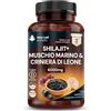 NEW LEAF PRODUCTS Shilajit Seamoss e Lions Mane Capsule 6000 mg - Complesso ad alta resistenza - 60% acido fulvico Shilajit, muschio marino irlandese, criniera di leone 100% corpo fruttificante - vegano, prodotto nel