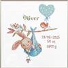 Aine A1028 Quadretto Nascita Bimbo Kit Punto Croce Contato 20x20 cm | Aida Zweigart 14 ct bianca, 11 colori cotone Anchor, per Principianti e Intermedi, schema e ago inclusi