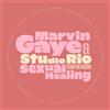 Marvin Gaye & Studio Rio Sexual Healing (Vinyl LP) 7" Single