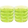 GEO TZZ0870 Plus Germogliatore (Senza Bpa) (Confezione da 2)