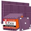 TOUO Confezione da 6 pannelli in schiuma acustica, 30 x 30 x 5 cm, pannelli fonoassorbenti per pareti, schiuma ad alta densità resistente al fuoco, insonorizzante, per pareti e soffitti di studio