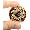DIVISTAR Carte de Gardien de Poker en métal plaqué Or avec étui Rond en Plastique