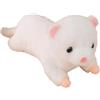 HOMEXYLYL Peluche furetto, peluche donnola con design sdraiato, peluche for ragazzi e ragazze, caldo regalo di compleanno da compagnia(White,50cm/19.7in)