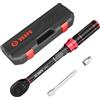 VANPO Chiave Dinamometrica 1/4, 1-25Nm Bici e Moto Set, Precisione ±3%