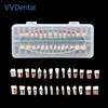 VV Dentale Endodonzia Canalare Resina Pratica Modello di Dente 28 pz Endo Pulpa Cavità Studio Dimostrazione Dei Denti Modello Didattico
