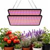 NONE 2 Lampade LED per Coltivazione Piante, Spettro Completo Simile al Sole, Quantum Board per Tende da Coltivazione Indoor, Lampada per Crescita Piante e Fiori
