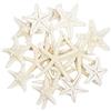 Yixuan 20PCS Stella Marina Naturali Stelle Marine per Decorazioni Perfetto per Decorazioni di Nozze/Beach Theme Party/Decorazioni per la casa/Progetto Craft Fai da Te/Serbatoio di Pesce/Decor Feste
