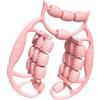 Oshhni Rullo Muscolare a Mano per Il Rullo per Gambe per Le Cosce 24 Strumento di Massaggio a Corpo Pieno di Ruote per Il Braccio della Vita Pilates Dancer