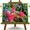 EURO PLANTS VIVAI Lagerstroemia Indica Cespuglio Rossa Vaso da 24 cm | Pianta Ornamentale Altezza 80 cm