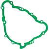 AER MOTO SPARE PARTS Guarnizione del coperchio dell'alternatore/statore, compatibile con Daytona 675 (2006-2012), Street Triple 675