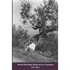 Critical, Cultural and Communications Pr 'Art for Life's Sake': Essays on D. H. Lawrence: 2