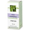 Benessere Farmacia Canfora olio essenziale 10 ml