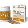 INNOVET URYS CAPS 30 CAPSULE BIRILLO