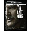 Warner Bros THE LAST OF US, S2 (4K Ultra HD) (4K UHD Blu-ray) Bella Ramsey Pedro Pascal