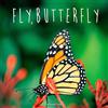 Bonnie Bader Fly, Butterfly (Tascabile) Penguin Core Concepts