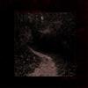 The Vomit Arsonist Only Red (CD) Album