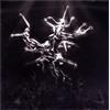 Lisa Gerrard: The Silver Tree (CD)