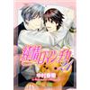 Junjou Romantica #21 | JAPAN BL Comic Book Manga Boys Love