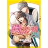 Junjou Romantica #28 | JAPAN BL Comic Book Manga Boys Love