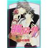 Junjou Romantica #10 | JAPAN BL Comic Book Manga Boys Love