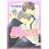 Junjou Romantica #4 | JAPAN BL Comic Book Manga Boys Love