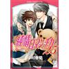 Junjou Romantica #25 | JAPAN BL Comic Book Manga Boys Love