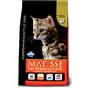 RUSSO MANGIMI MATISSE NEUTERED SALMON 10KG