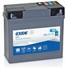 Exide - Batteria da moto Exide Gel 12-19, 12 V, 19 Ah