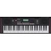Roland Tastiera Roland E-X10 | Piano a 61 Note Ideale per i Principianti e le Lezioni | Oltre 600 Suoni | Sistema di Speaker Stereo | 140 Brani Interni | Controllo MIDI tramite la Porta USB