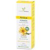 Farmaderbe ARNICA POMATA 100ML